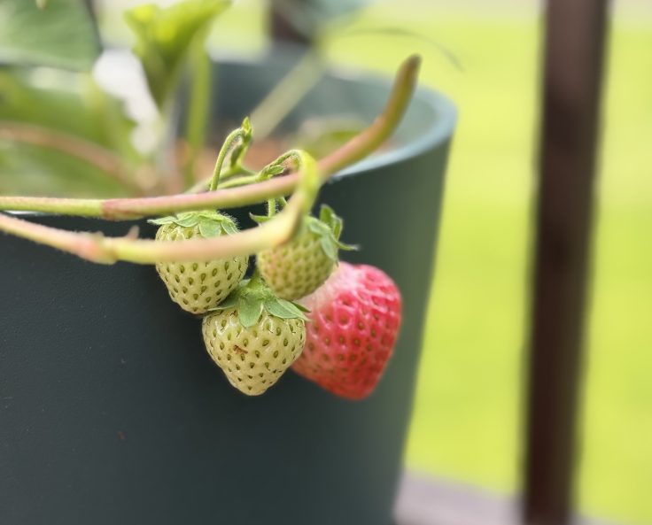 Between the Pages 2025: Second&nbsp;Edition