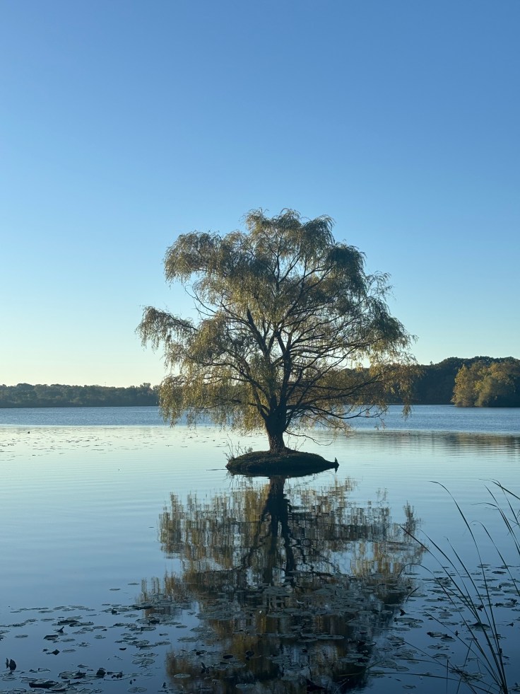 Between the Pages 2026: First Edition